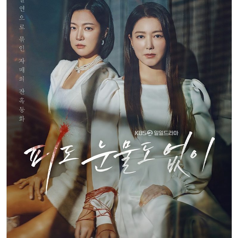 Sinopsis Drama Without Blood or Tears Yang Tayang 22 Januari