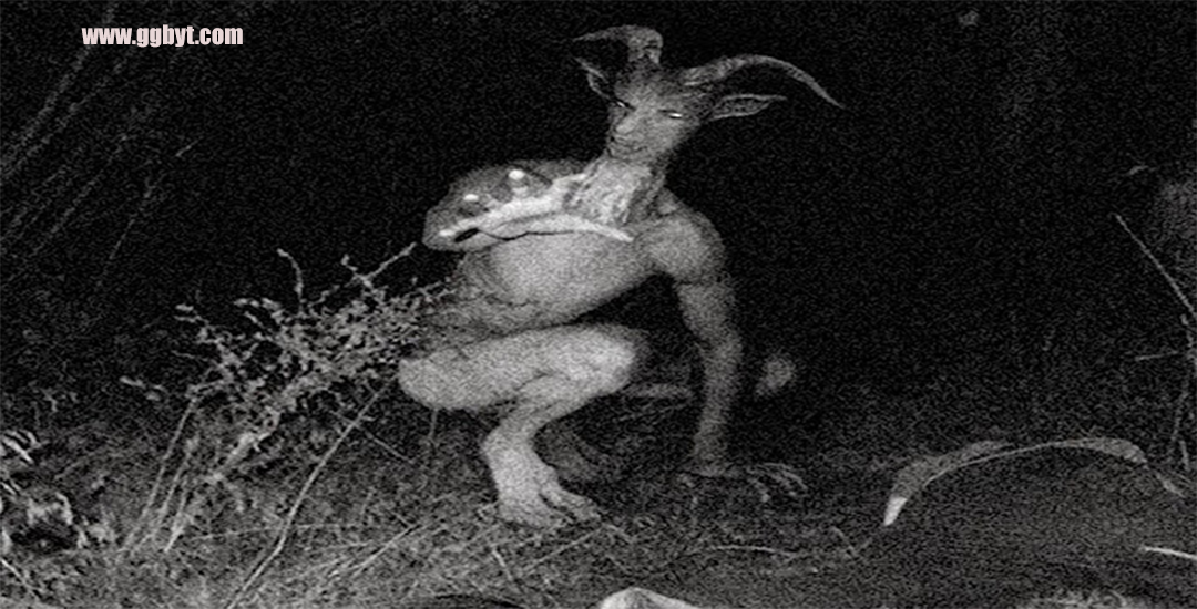 Hantu Iblis Jersey: Legenda yang Menyeramkan dari New Jersey